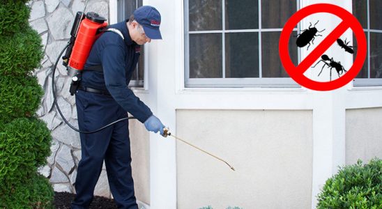 Toprakkale Akrep İlaçlama böcek ilaçlama ve haşere kontrolü — ilaclama-tr.com